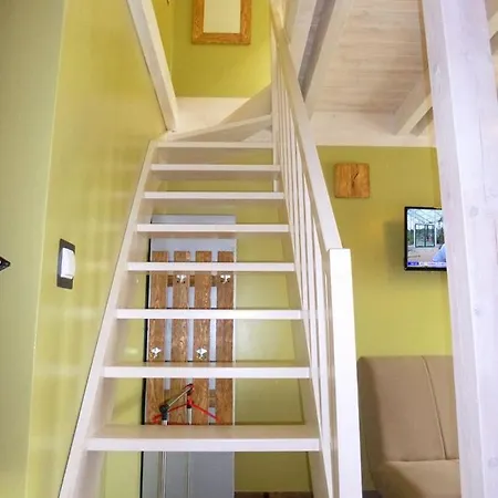 Проживание в семье Nautikka